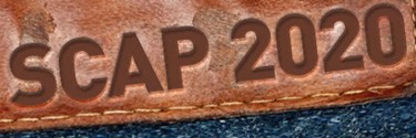 More than 15 organisations have signed up to the SCAP 2020 Commitment